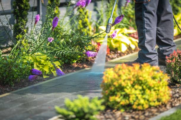 Best Roof Cleaning and Mildew Removal in Ketchum, ID